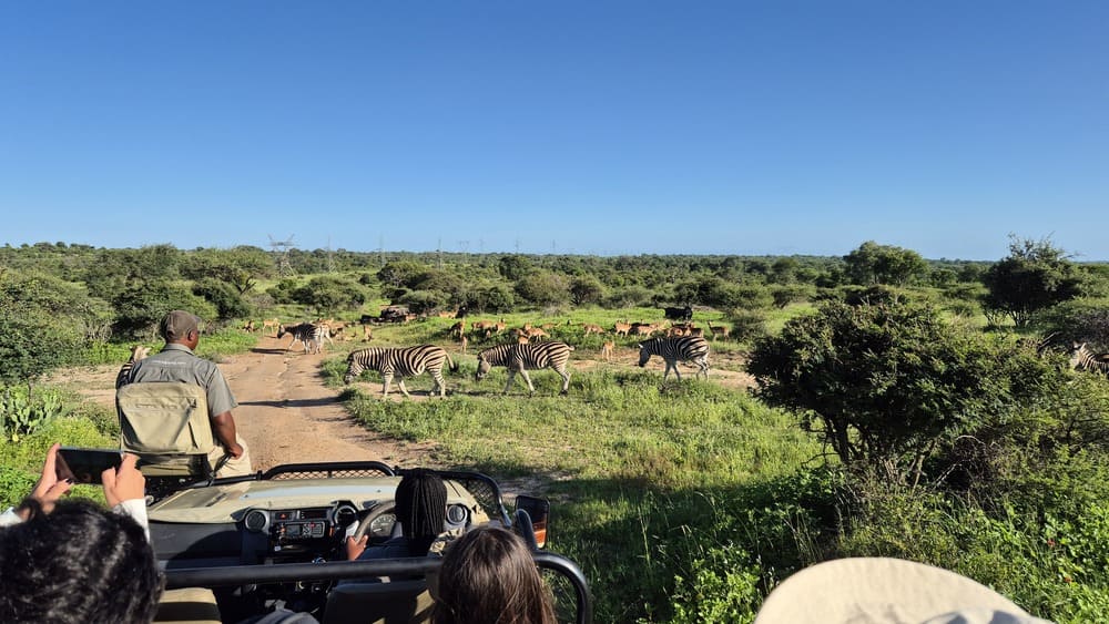 Kapama Private Reserve