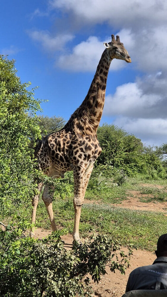 Kapama Private Reserve
