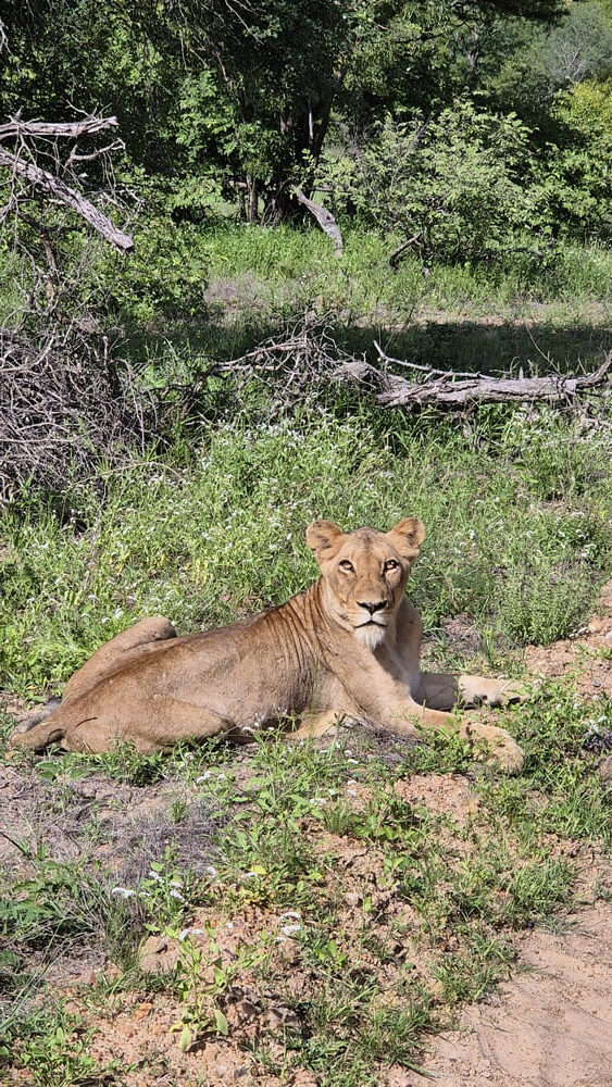 Kapama Private Reserve