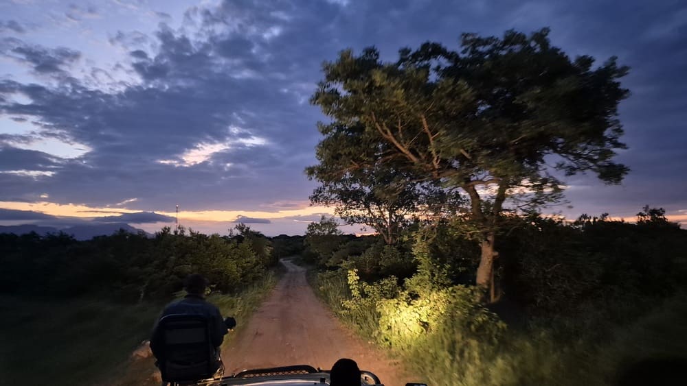 Kapama Private Reserve