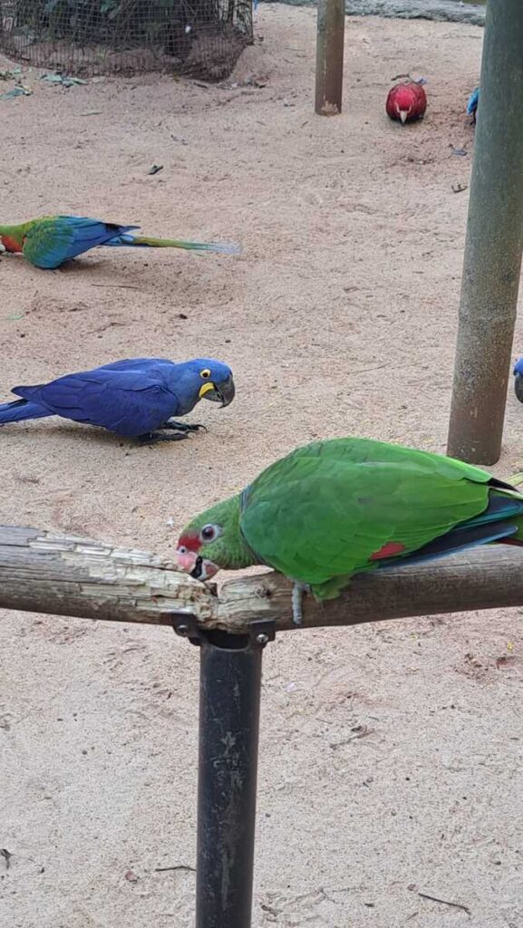 Foz do Iguaçu