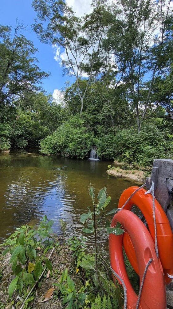 Bonito Estância Mimosa