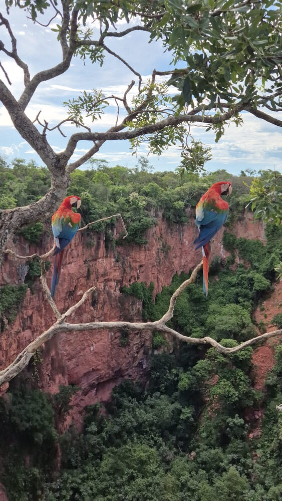 Bonito Buraco das Araras
