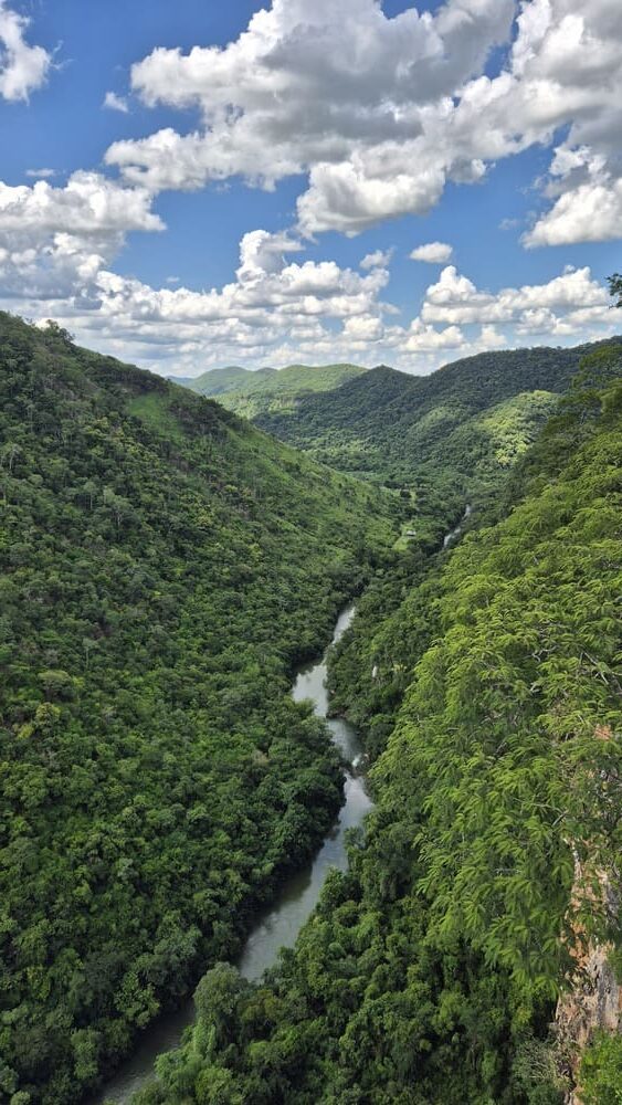Bonito Boca da Onça