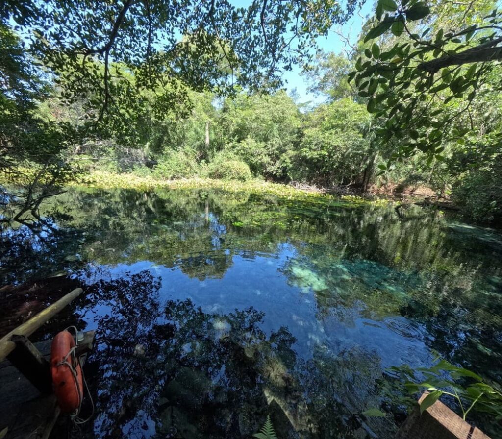 Bonito Aquario Natural