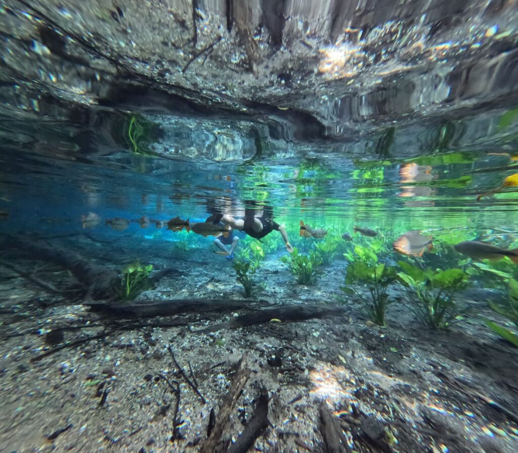 Bonito Aquario Natural